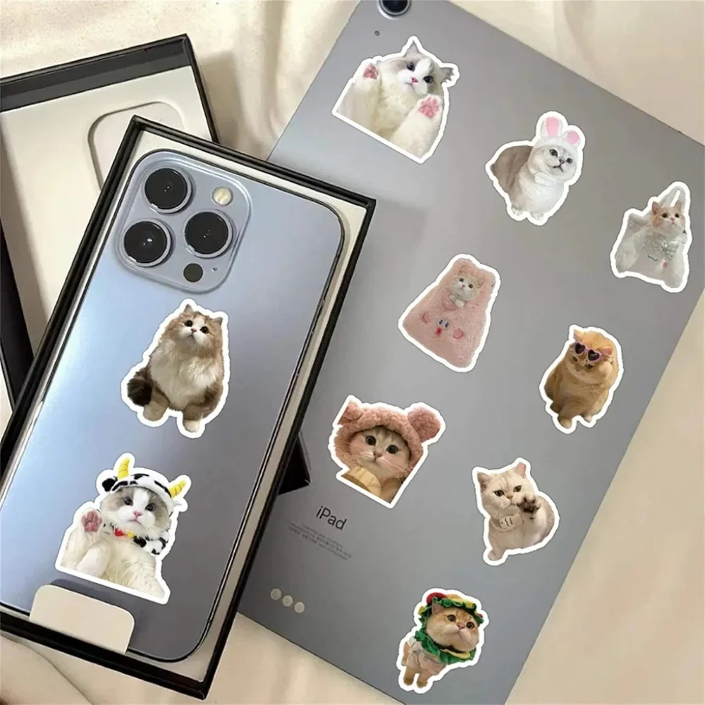 Cute Cat Sticker Pack